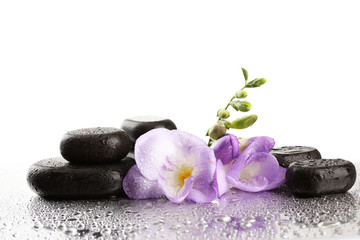 Poster - Spa stones and purple flower, isolated on white