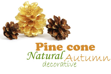 two pine cones and one golden cone over white background with sh