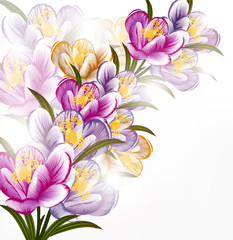 Wall Mural - Floral background with clean space for text