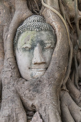 Fototapete - Buddha face