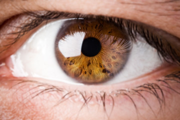 extreme close up of a human eye