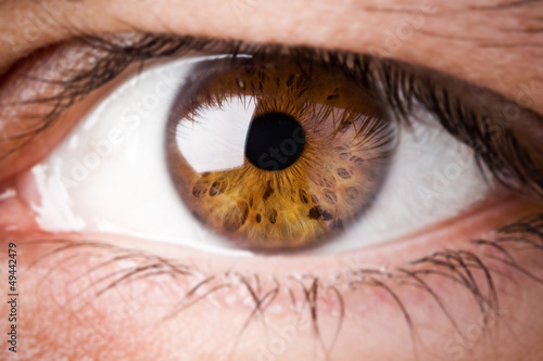 Extreme Close Up Of A Human Eye Buy This Stock Photo And Explore