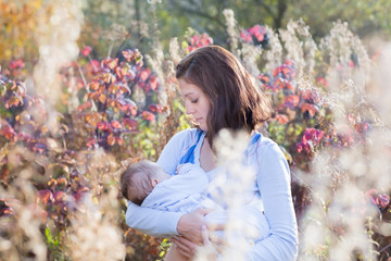 Wall Mural - Mother breastfeeding baby in meadow on sunny day