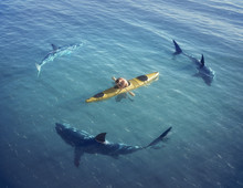 Man On A Boat In The Middle Of The Ocean Surrounded By Sharks.