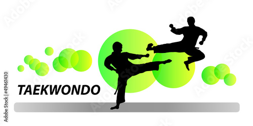 Dekoracja na wymiar  taekwondo-7