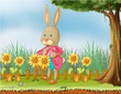 A bunny in the garden with sunflowers 