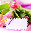 Tulpen und Geschenkanhänger unbeschriftet