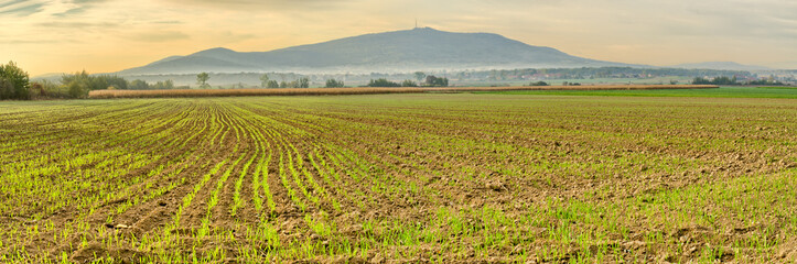 Wall Mural - Panorama with field and Sleza Mountain, Poland