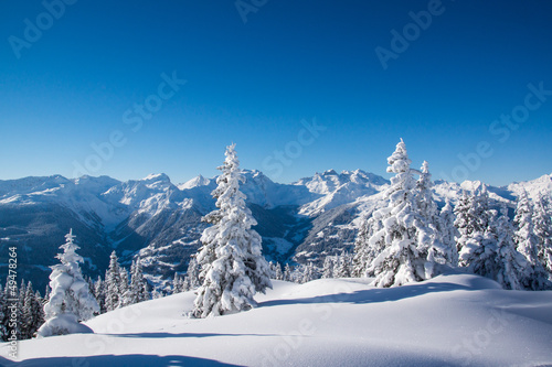 Foto-Flächenvorhang ohne Schienensystem - Winter in den Bergen (von Netzer Johannes)
