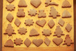 © Zsolt Biczó - Cookie ginger breads