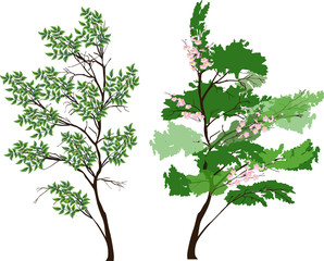 Poster - two green small trees illustration