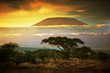 Leinwandbild Motiv Mount Kilimanjaro. Savanna in Amboseli, Kenya