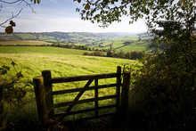 Gate Onto Rolling British Countryside