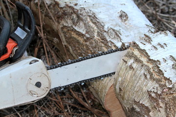 Cutting wood with chainsaw