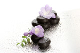 Fototapeta Tulipany - Spa stones and purple flower, on wet background