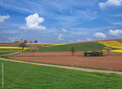 Foto-Flächenvorhang - Feldflur im Frühjahr (von mirkomedia)
