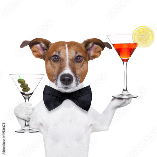 Photo  cocktail dog martini glasses