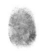 © Andrey Kuzmin - fingerprint isolated on white