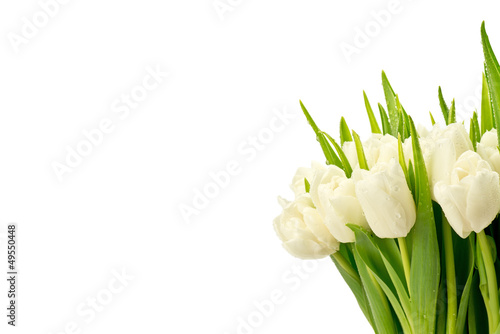Naklejka - mata magnetyczna na lodówkę Tulipany na białym tle