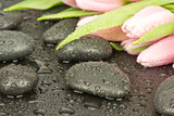 Kamienie spa