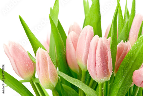Naklejka na szybę Tulipany