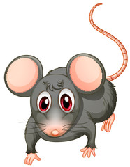 Wall Mural - A young mouse