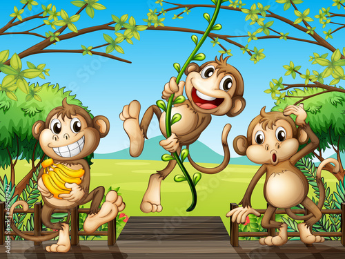 Naklejka ścienna Three monkeys at the wooden bridge