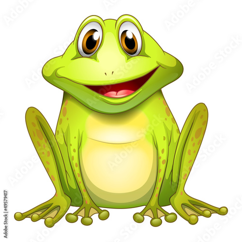 Obraz w ramie A smiling frog