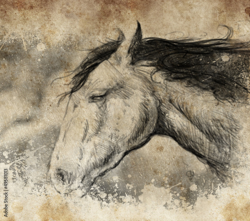 Naklejka na szybę Sketch made with digital tablet, horse head