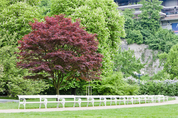 park in Karlovy Vary (Carlsbad), Czech Republic