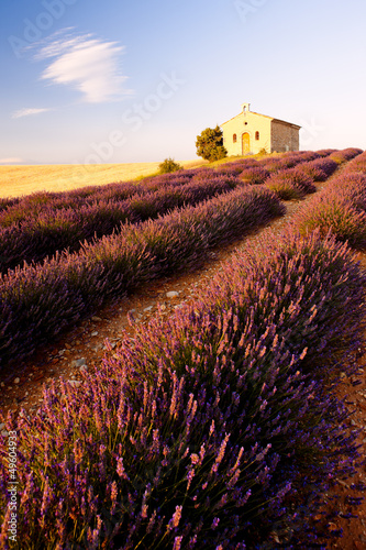 Board z aluminiowym obramowaniem Kaplica z lawendowym polem, plateau de valensole, prowansja, fran