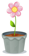 Poster - A pot of plant with a flower