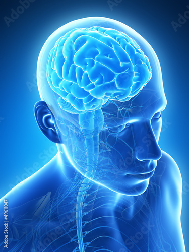 Plakat na zamówienie 3d rendered illustration - male brain