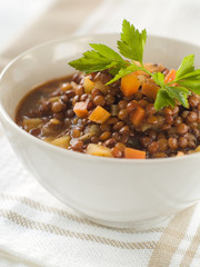 Sticker - lentil stew