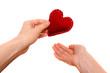 © mizina - Red heart in hands