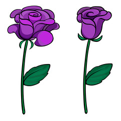 Canvas Print - Two purple roses