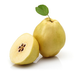 Sticker - Quince and Half Quince