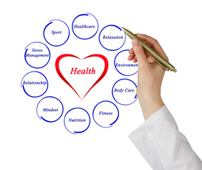 Wall Mural - Diagram of health