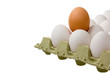 Weisse Eier mit braunem Ei im Eierkarton