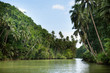 Tropical river with palm trees on both shores