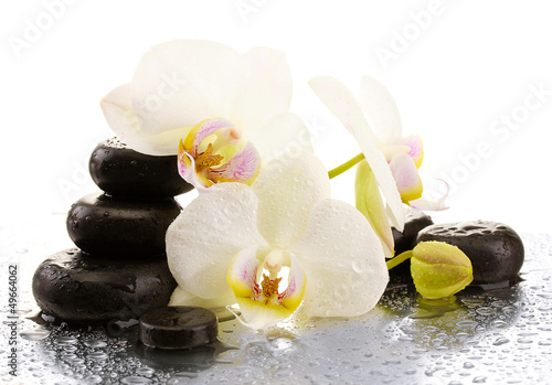 Tapeta ścienna Kamienie spa i kwiaty orchidei, odizolowane na białym.