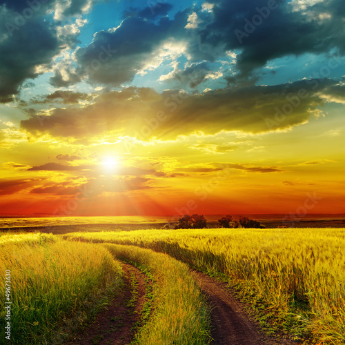 Naklejka na szafę sunset over rural road near green field