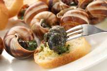 Escargot, Snails A La Bourguignonne