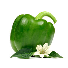 Canvas Print - Bell Pepper with Leaves and Flower Isolated on White Background