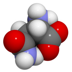 Poster - Asparagine (Asn, N) amino acid, molecular model.