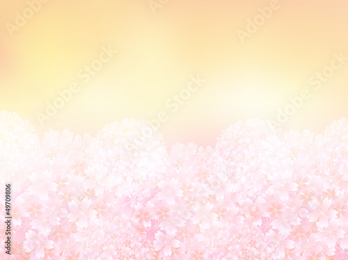 桜 さくら 背景 春 Adobe Stock でこのストックベクターを購入して 類似のベクターをさらに検索 Adobe Stock 桜 さくら 背景 春 Adobe Stock でこのストックベクターを購入して 類似のベクターをさらに検索 Adobe Stock