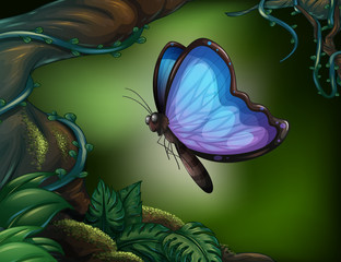 A butterfly in the rainforest