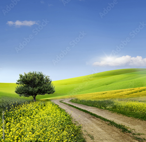 Foto-Flächenvorhang ohne Schienensystem - Field,tree and blue sky (von Vitaly Krivosheev)