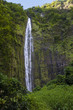 The Waimoku falls at the end of the popular Waimoku Falls Trail