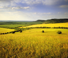 Sticker - countryside